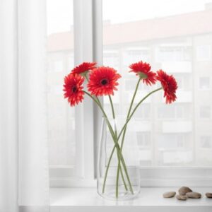 شاخه گل ژربرا ایکیا