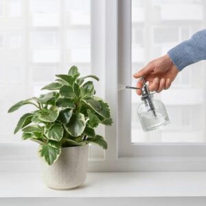 آبپاش آبپاش ایکیا