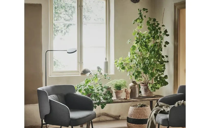 صندلی راحتی ویسل خاکستری تیره/کابوسا خاکستری تیره ایکیا مدل BINGSTA