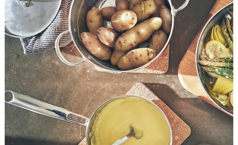 ماهیتابه با درب مسی/استیل ضد زنگ سایز 25 ایکیا مدل FINMAT