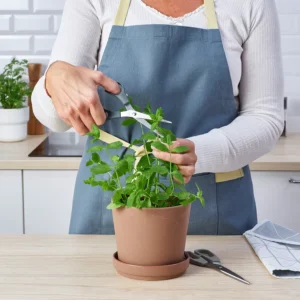 مجموعه ۲ عددی قیچی استیل ضد زنگ خاکستری/خاکستری-فیروزه‌ای ایکیا مدل SVÄRDFISK