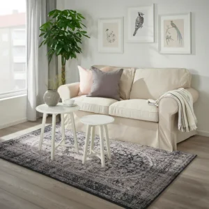 فرش کم پرز چند رنگ سایز 160x240 ایکیا مدل TEBSTRUP