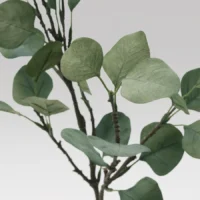 برگ مصنوعی، اکالیپتوس/سبز، ۶۵ سانتی‌متر ایکیا مدل SMYCKA